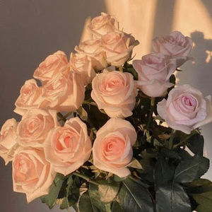 Meet your Posher, Logan